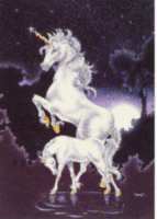 Unicorn